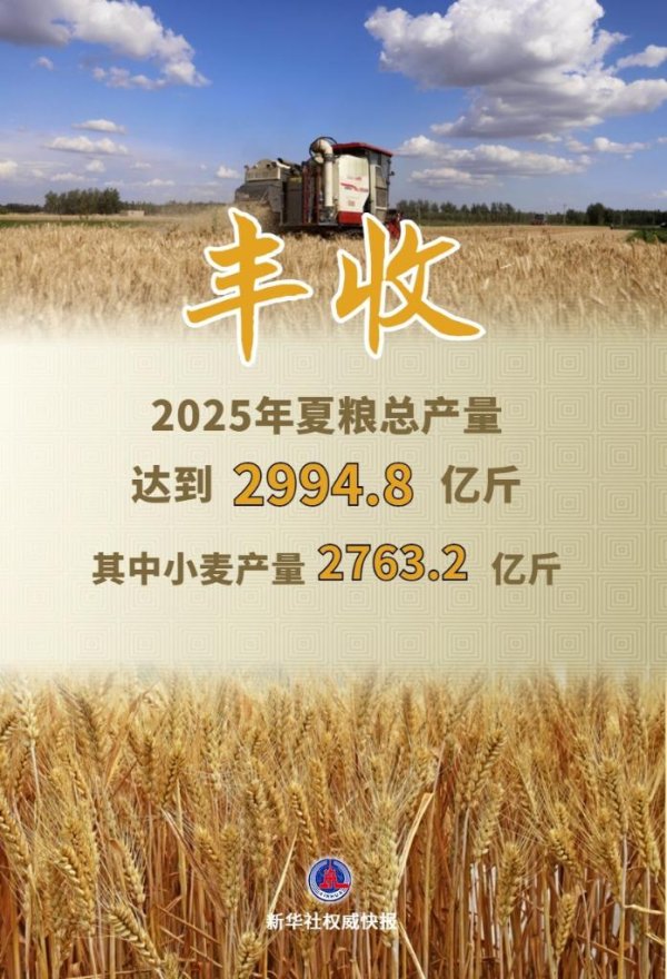 启远网 新华社权威快报丨今年全国夏粮获得丰收 总产量达2994.8亿斤